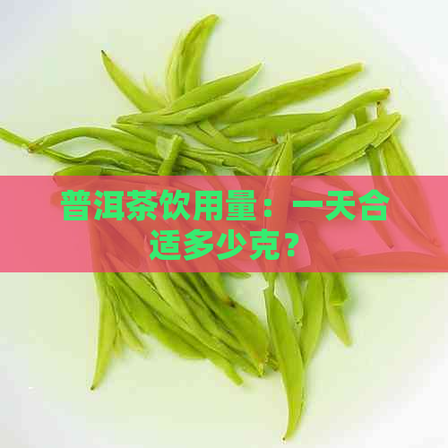 普洱茶饮用量：一天合适多少克？