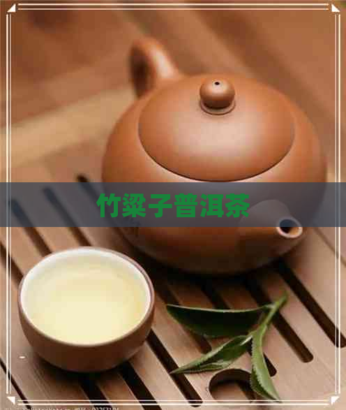 竹粱子普洱茶