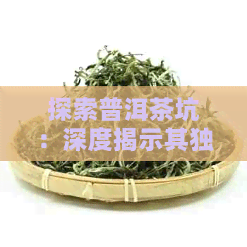 探索普洱茶坑：深度揭示其独特的魅力与复杂性