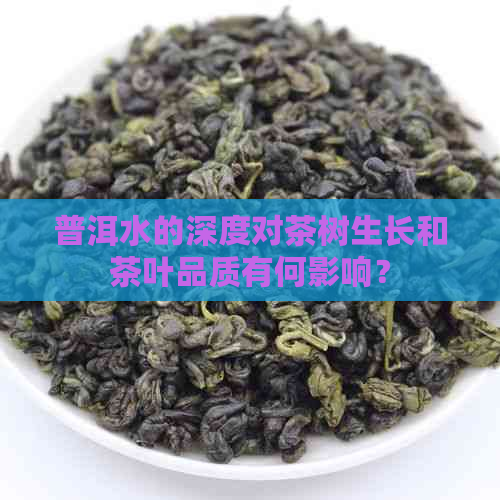 普洱水的深度对茶树生长和茶叶品质有何影响？