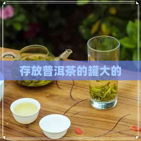 存放普洱茶的罐大的