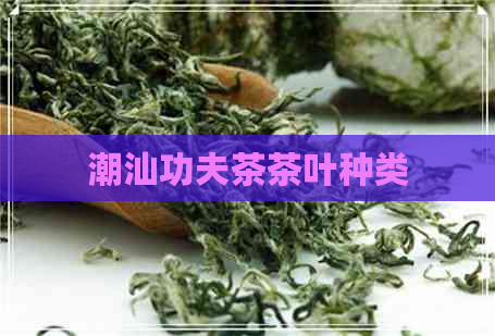 潮汕功夫茶茶叶种类