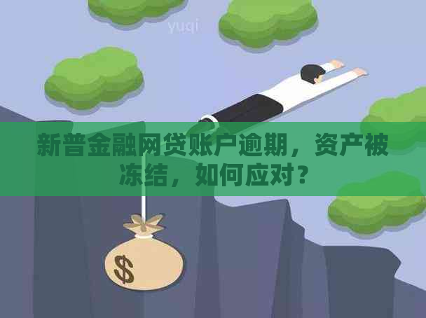 新普金融网贷账户逾期，资产被冻结，如何应对？