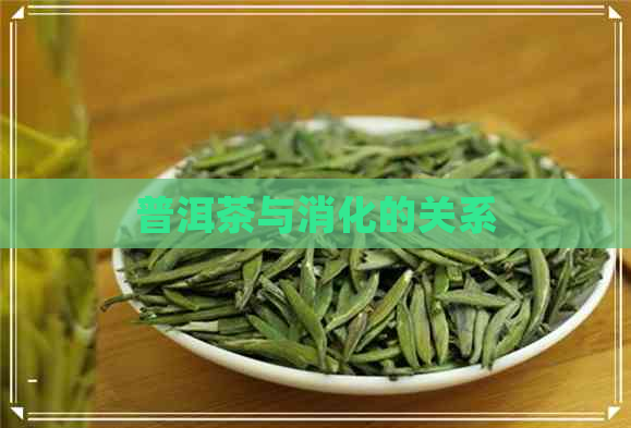 普洱茶与消化的关系