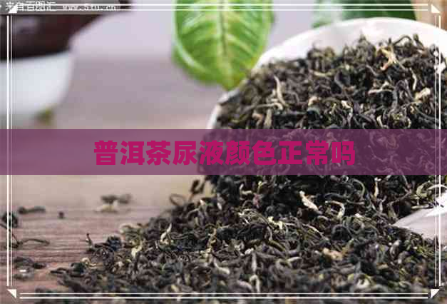 普洱茶尿液颜色正常吗