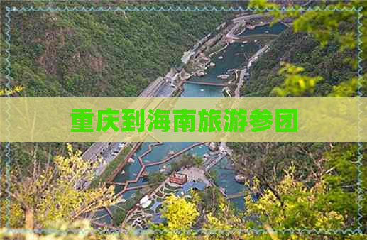 重庆到海南旅游参团