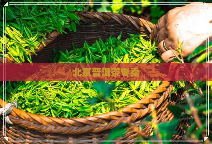 北京普洱茶专卖