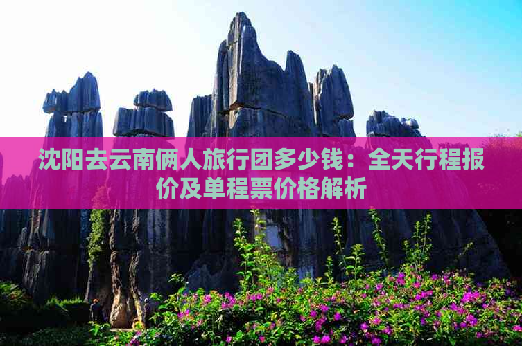 沈阳去云南俩人旅行团多少钱：全天行程报价及单程票价格解析