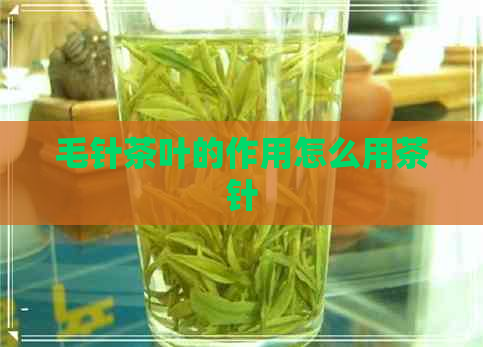 毛针茶叶的作用怎么用茶针