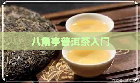 八角亭普洱茶入门