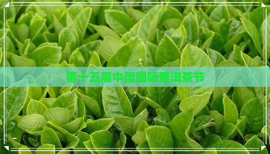 第十五届中国国际普洱茶节