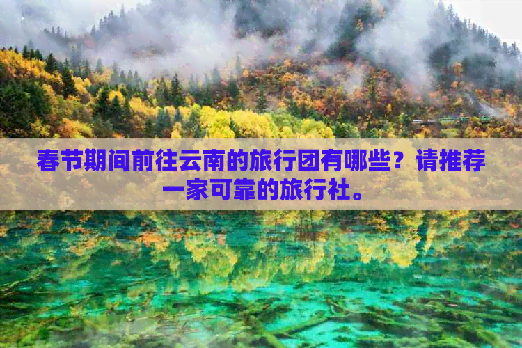 春节期间前往云南的旅行团有哪些？请推荐一家可靠的旅行社。