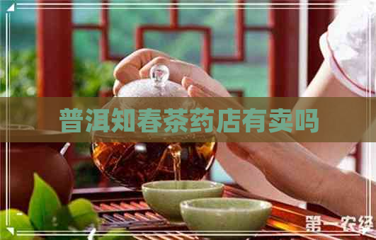 普洱知春茶药店有卖吗