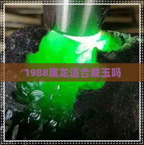 1988属龙适合戴玉吗