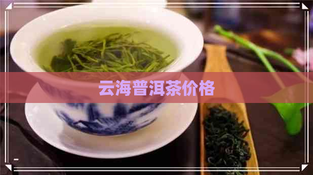 云海普洱茶价格