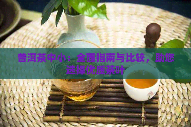 普洱茶中小：全面指南与比较，助您选择优质茶叶