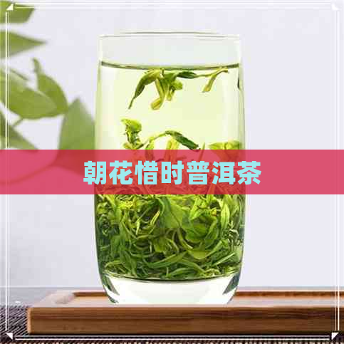 朝花惜时普洱茶