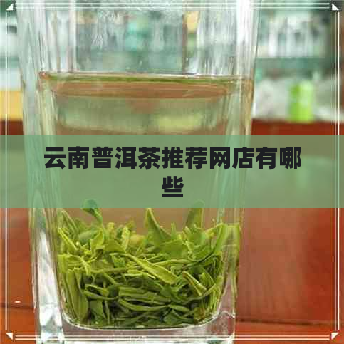 云南普洱茶推荐网店有哪些