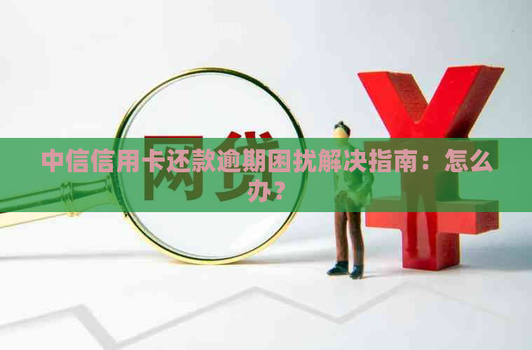 中信信用卡还款逾期困扰解决指南：怎么办？