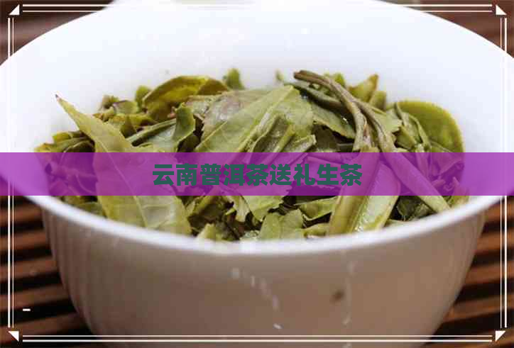 云南普洱茶送礼生茶