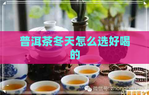 普洱茶冬天怎么选好喝的