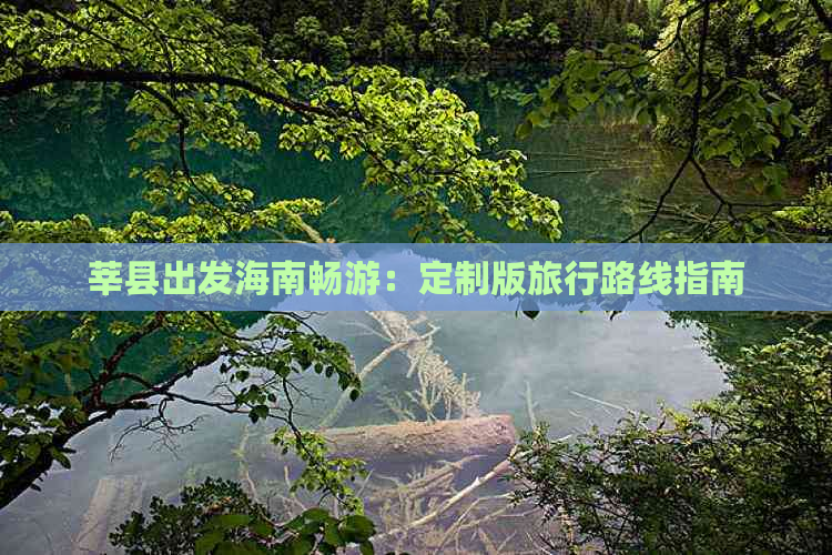 莘县出发海南畅游：定制版旅行路线指南