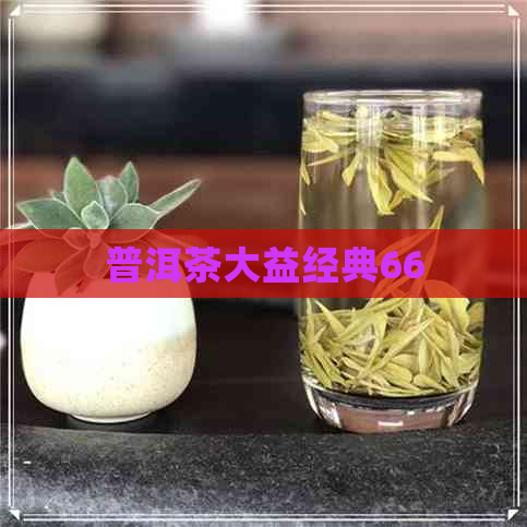 普洱茶大益经典66