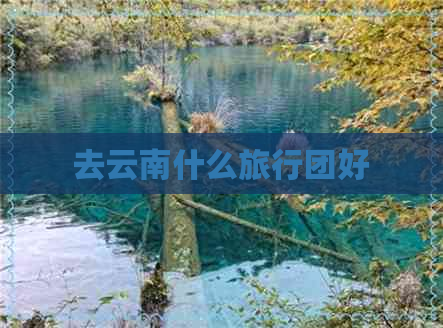 去云南什么旅行团好