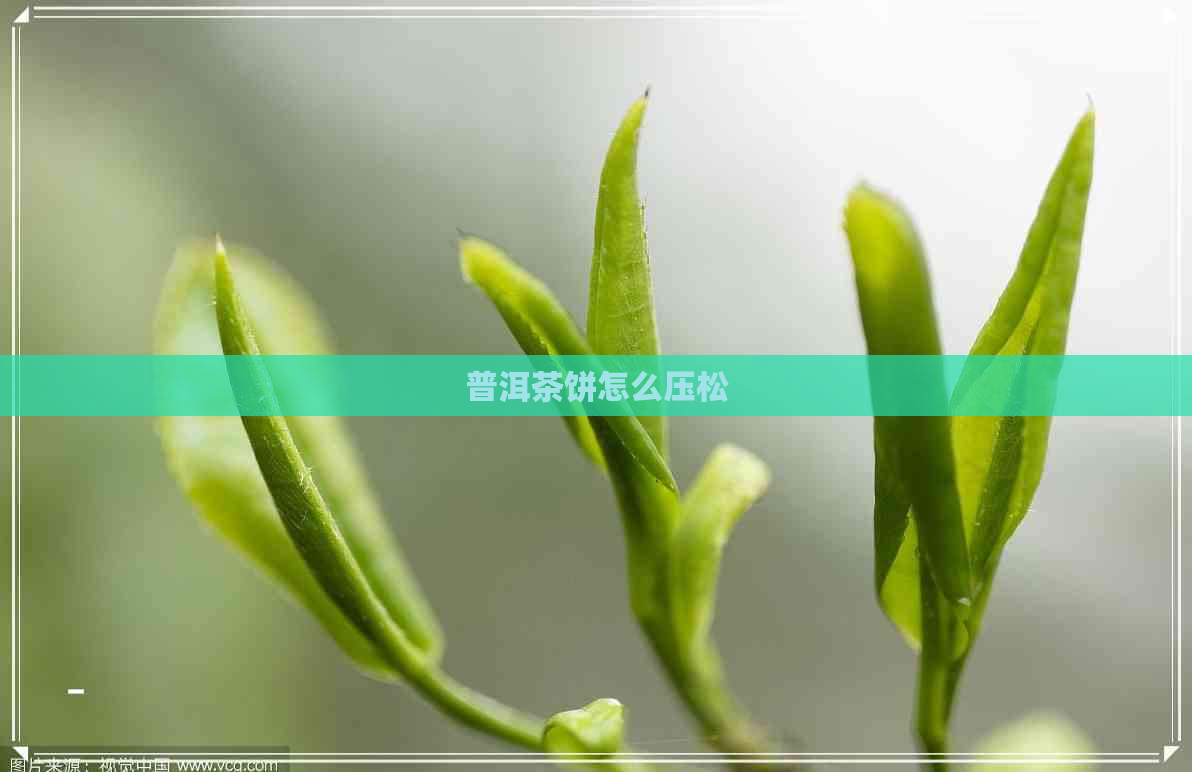 普洱茶饼怎么压松