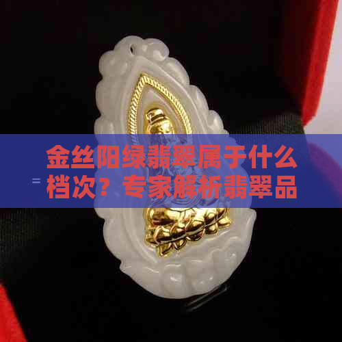 金丝阳绿翡翠属于什么档次？专家解析翡翠品质与价值关系