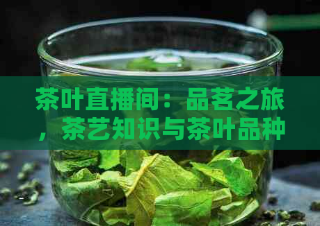 茶叶直播间：品茗之旅，茶艺知识与茶叶品种一览无余的全方位直播体验