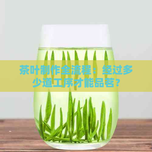 茶叶制作全流程：经过多少道工序才能品茗？