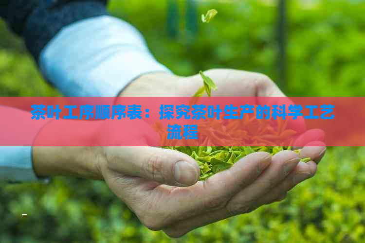 茶叶工序顺序表：探究茶叶生产的科学工艺流程