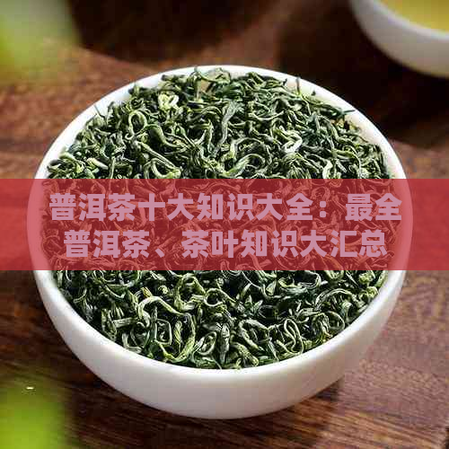 普洱茶十大知识大全：最全普洱茶、茶叶知识大汇总