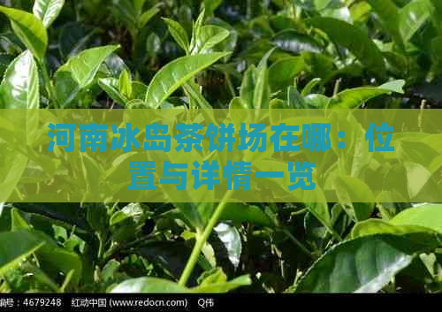 河南冰岛茶饼场在哪：位置与详情一览