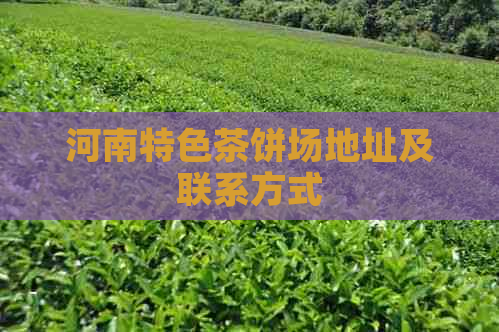 河南特色茶饼场地址及联系方式