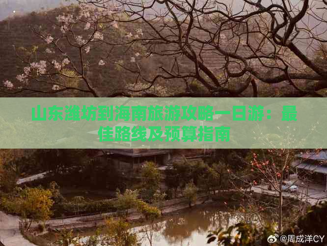 山东潍坊到海南旅游攻略一日游：更佳路线及预算指南