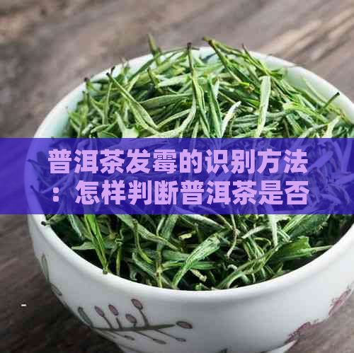 普洱茶发霉的识别方法：怎样判断普洱茶是否发霉