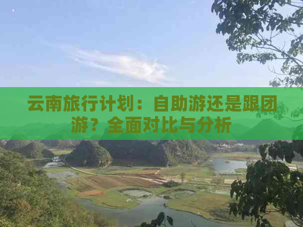 云南旅行计划：自助游还是跟团游？全面对比与分析