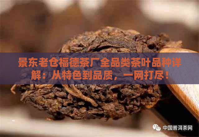 景东老仓福德茶厂全品类茶叶品种详解：从特色到品质，一网打尽！