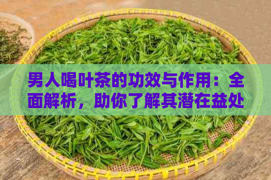 男人喝叶茶的功效与作用：全面解析，助你了解其潜在益处