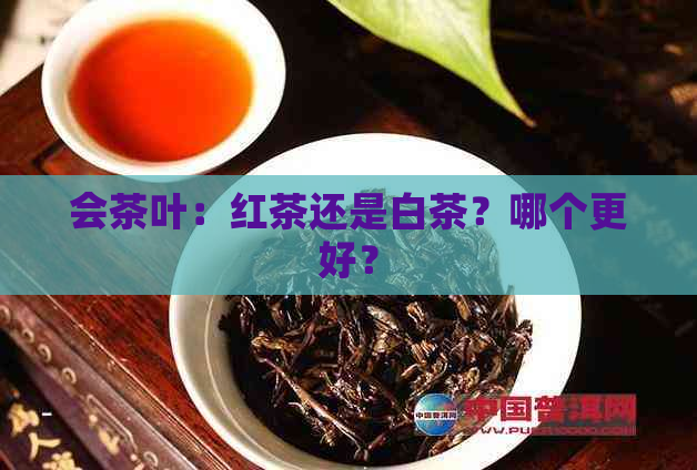 会茶叶：红茶还是白茶？哪个更好？