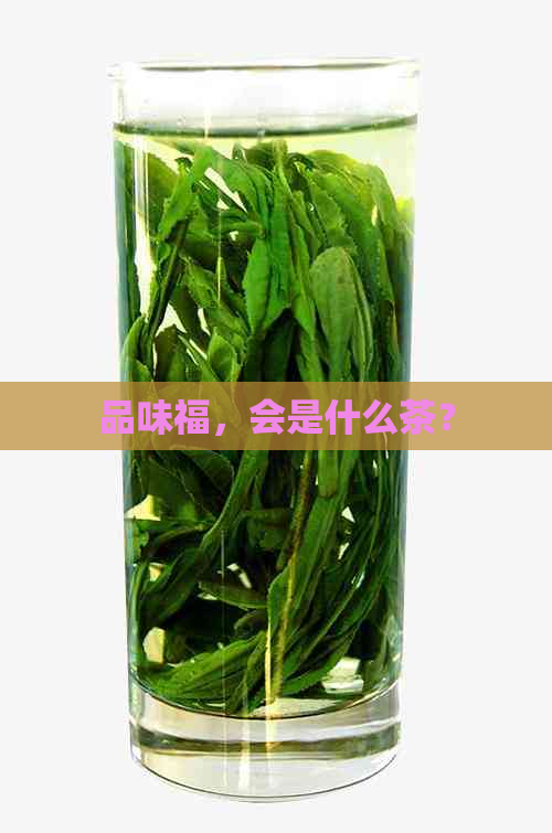 品味福，会是什么茶？