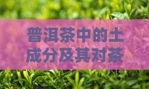 普洱茶中的土成分及其对茶叶品质的影响