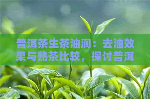 普洱茶生茶油润：去油效果与熟茶比较，探讨普洱茶茶油的作用及其多少的影响