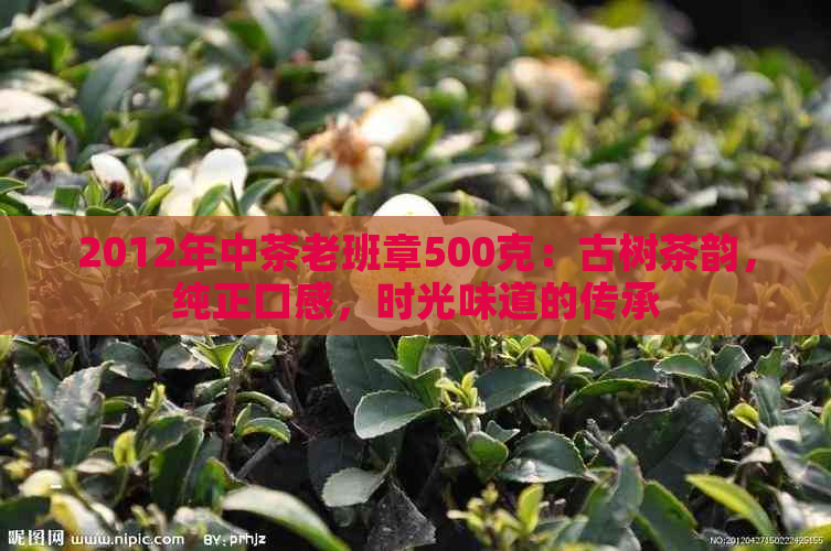 2012年中茶老班章500克：古树茶韵，纯正口感，时光味道的传承