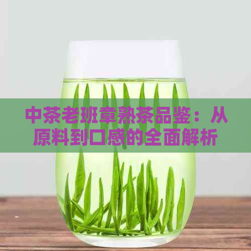 中茶老班章熟茶品鉴：从原料到口感的全面解析，让你了解这款顶级熟茶的秘密