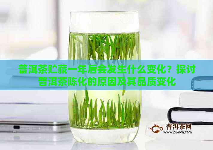 普洱茶贮藏一年后会发生什么变化？探讨普洱茶陈化的原因及其品质变化