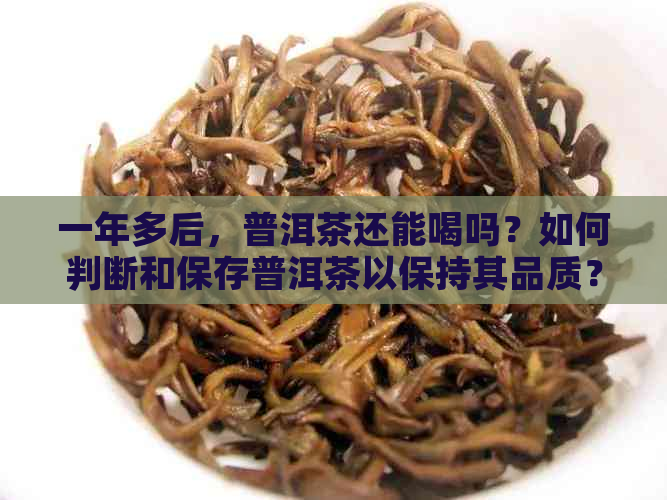 一年多后，普洱茶还能喝吗？如何判断和保存普洱茶以保持其品质？