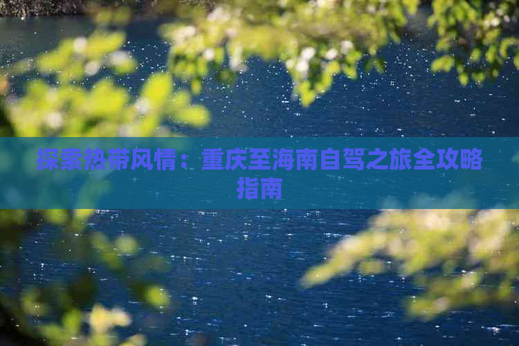 探索热带风情：重庆至海南自驾之旅全攻略指南